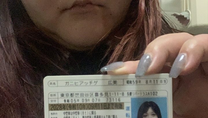 糞豚詐欺師野郎 ガニヒアッチゲ 広美