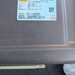 IMG_1502-2.jpeg
