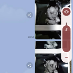 1000001261-2.png