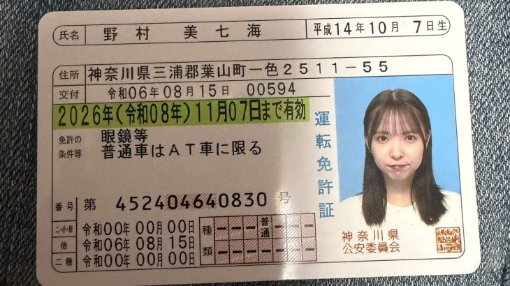 野村美七海 詐欺師